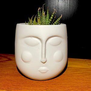 Planter Face Color: White